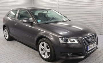 Audi A3 8P Hatchback 3d 2.0 TDI CR 140KM 2009 Audi A3 Climatronic, XENON, Komputer, Felgi Alu, El. Szyby, Centralny Zamek, zdjęcie 1
