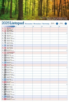 Настенный календарь А3 на 2025 год.
