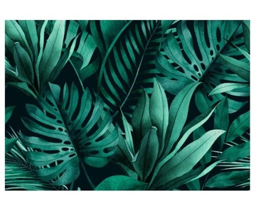 Fototapeta 416x254cm dżungli z monstera bananowce
