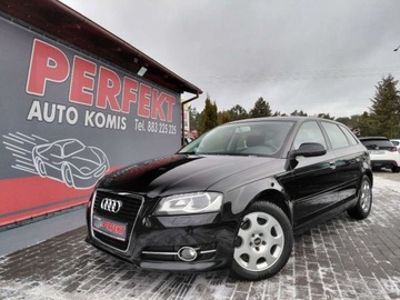 Audi A3 8P Hatchback 3d 1.4 TFSI 125KM 2010 Audi A3 Sportback Lift LED Klimatronik Elektryka Serwis 1.4 Benzyna 125KM