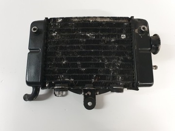 Трансальповый охладитель воды Honda XL 600