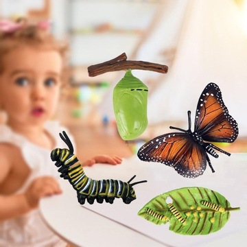 развивающие игрушки для детей, цикл роста животных