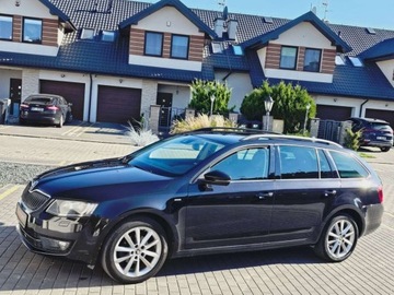 Skoda Octavia III Kombi 1.6 TDI 110KM 2016 Skoda Octavia JOY___1.6TDi 110KM DSG___Xenon LED Navi Alcantara___Pelna Hi, zdjęcie 26