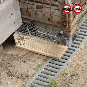 Гуманная ловушка Клетка-ловушка Живая ловушка для мышей, крыс, грызунов Куница 2
