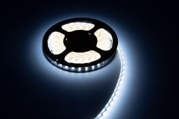 Taśma LED BERGMEN Eleva 78 WP 12VDC 13W 1200lm 78x2835SMD IP65 zimny biały