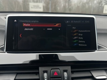 BMW X2 F39 2022 BMW X2 M-Pakiet, Salon PL, Fotele sportowe, Kamera, zdjęcie 19