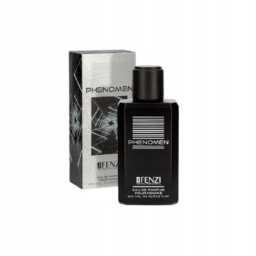 FENZI MEN EDP 100ML PHENOMEN woda perfumowana