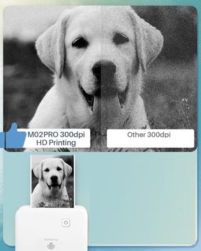Термопринтер Phomemo M02PRO для фотографий, наклеек, этикеток, 300 точек на дюйм, 15–53 мм