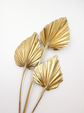 Пальмовый лист, золотистый цвет, сушки для торта, экзотические сухофрукты.