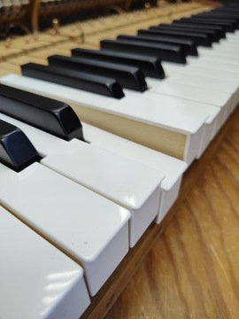 Рояль Steinway & Sons модель М после капитального ремонта!