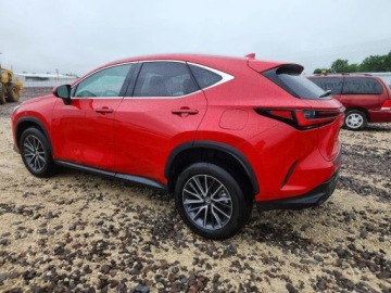 Lexus NX II 2024 Lexus NX 250 Premium 2024 2.5 Benzyna 203KM, zdjęcie 1