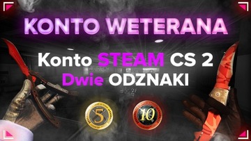 АККАУНТ STEAM CS:GO 17 ЛЕТ CSGO FACEIT HOURS