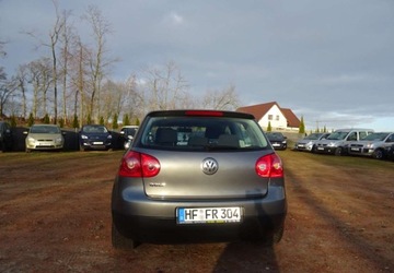 Volkswagen Golf V Hatchback 1.4 i 16V 75KM 2004 Volkswagen Golf 1.4ben,klima,alu,oplacony 1.4 Benzyna 75KM, zdjęcie 8