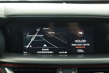 Alfa Romeo Stelvio SUV 2.0 Turbo 280KM 2019 Alfa Romeo Stelvio 2.0 Turbo Q4, Salon Polska, zdjęcie 8