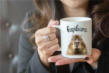 Кружка КАПИБАРА, подарочная, 330мл, коробка
