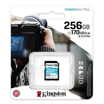SDG3/256 ГБ KINGSTON 256 ГБ SDXC Canvas Go Plus