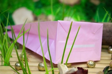 БУМАЖНЫЙ ПАКЕТ BLOCK 10x6,5x28 см ПАСТЕЛЬНО-РОЗОВЫЙ для ДНЕЙ РОЖДЕНИЯ