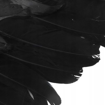 КРЫЛЬЯ АНГЕЛА ЧЕРНЫЕ ПЕРЬЯ БОЛЬШИЕ 105Х45СМ КАРНАВАЛ