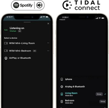 WIIM Mini Streamer Spotify Connect Tidal Connect
