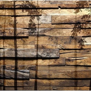FOTOTAPETA 3D NA ŚCIANĘ DO SYPIALNI 300x210 +KLEJ, Drzewa, Drewno, Natura