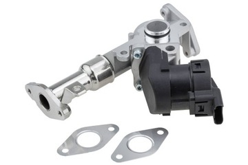 ZAWÓR EGR BMW 1 E81 3 E90 5 E60 E61