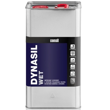 DYNASIL WET 5L - Impregnat pogłębiacz koloru