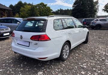 Volkswagen Golf VII Variant 1.4 TSI BlueMotion Technology 125KM 2016 Volkswagen Golf 1.4B 125KM serwisowany bezwypadkowy stan bdb xenon salon P, zdjęcie 3