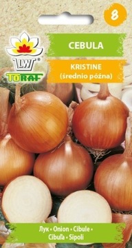 Cebula Kristine, plenna - Nasiona 3g