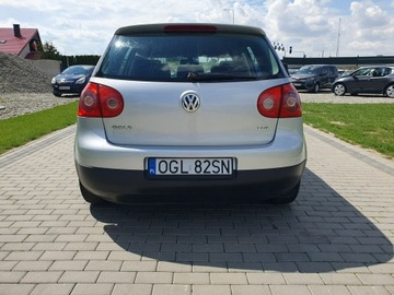 Volkswagen Golf V Hatchback 1.9 TDI 105KM 2004 Volkswagen Golf 1.9tdi 105KM 5 Drzwi Klima Raty, zdjęcie 10