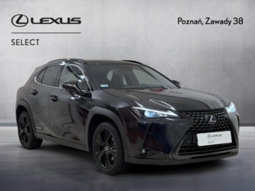 Lexus UX 2022 Lexus UX 250h GPF F Impression 2WD Lexus UX 250h G, zdjęcie 7