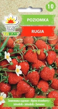 Poziomka Rugia 0,2g TORAF