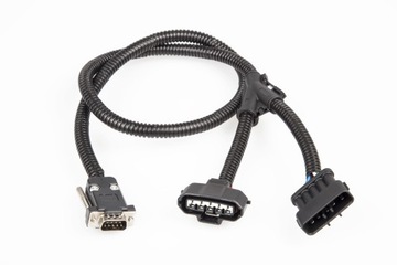 Chip Tuning ProRacing CS2 BMW E46 1.9 318i 118KM