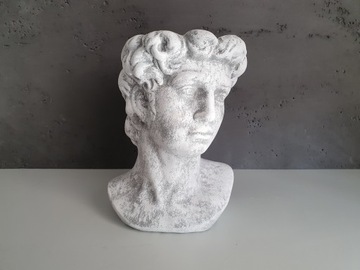 Крышка Цезаря Голова Цветочный Горшок Украшение Чаша ПОДАРОК