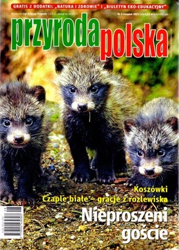 Przyroda Polska nr 8/2023. Czaple białe - gracje z rozlewiska.