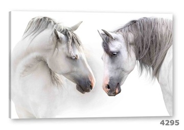 Картина на холсте 120х80 Картины на стену Две лошади