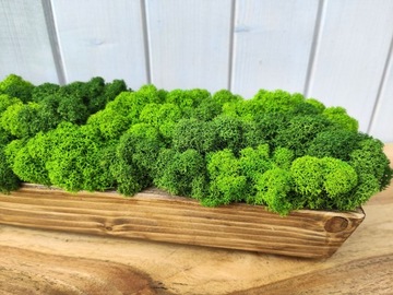 Деревянный цветочный горшок с мхом CHERRY MOSS в длинном горшке 40 см декор