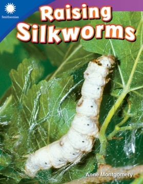 Raising Silkworms - Montgomery, Anne EBOOK