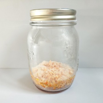 Cordyceps Militaris Battle Maczużnik, выращивание грибов, земля