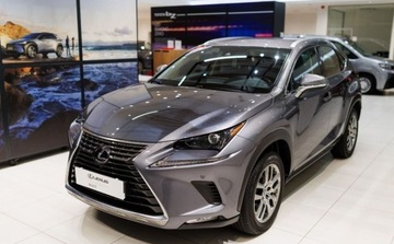 Lexus NX I SUV Facelifting 300h 197KM 2019 Lexus NX 300h Optimum AWD 2.5 Hybryda 197KM, zdjęcie 12