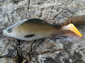SEWRO CUSTOM KARAŚ JAPONIEC 10cm kopyto
