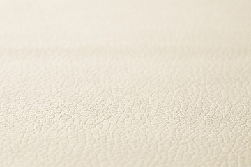 Dywaniki środkowe TIR IVECO STRALIS XP eko-skóra