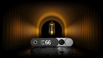 aune Flamingo czarny