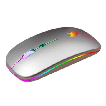 Mysz 2.4G Ergonomiczna ładowana przez USB, srebrna