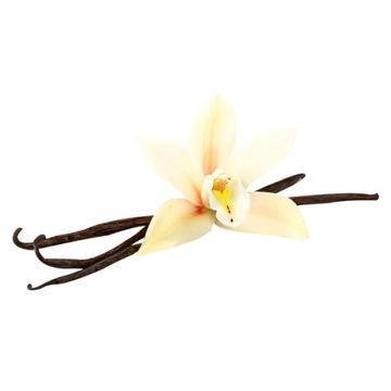 AVON EVE CONFIDENCE WODA PERFUMOWANA DLA NIEJ 100ml XXL