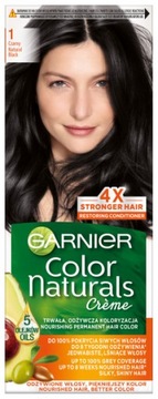Garnier Color Naturals farba 1 Czerń