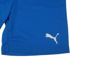 Мужские шорты Puma teamRISE 704942 02