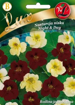 NASTURCJA KARŁOWA NIGHT & DAY 5 g 'L