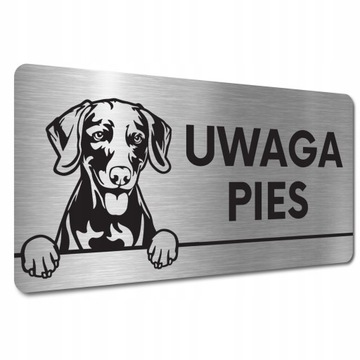 TABLICZKA UWAGA PIES Wyżeł weimarski krótkowłosy TABLICZKA UWAGA ZŁY PIES