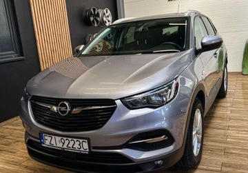 Opel 2019 Opel Grandland X 130 KM manual BEZWYPADKOWY gwarancja ZAREJESTROWANY, zdjęcie 13