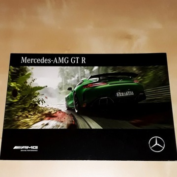 Mercedes-AMG GT R 2017 j.polski !